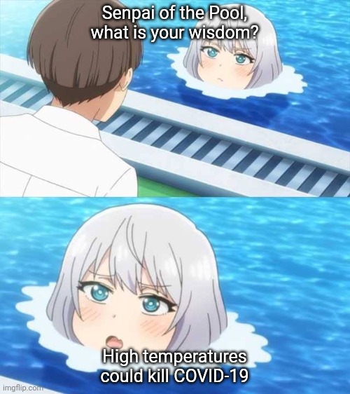 "The Senpai of the Pool's wisdom is the elimination of COVID-19 by high temperatures." | Senpai of the Pool, what is your wisdom? High temperatures could kill COVID-19 | image tagged in senpai of the pool,hot weather,coronavirus,memes | made w/ Imgflip meme maker