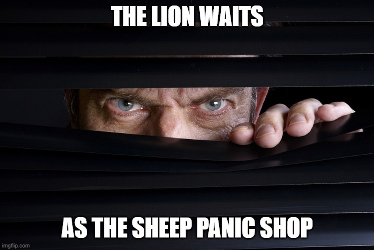 Lion | THE LION WAITS; AS THE SHEEP PANIC SHOP | image tagged in panic,coronavirus,corona virus,covid-19,shopping | made w/ Imgflip meme maker