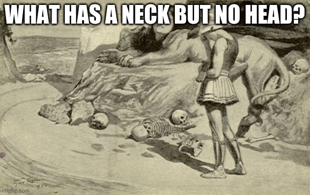 Riddles and Brainteasers | WHAT HAS A NECK BUT NO HEAD? | image tagged in riddles and brainteasers | made w/ Imgflip meme maker