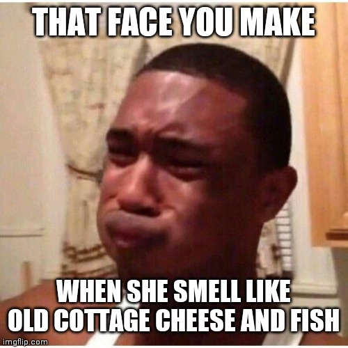 THAT FACE YOU MAKE; WHEN SHE SMELL LIKE OLD COTTAGE CHEESE AND FISH | image tagged in memes | made w/ Imgflip meme maker