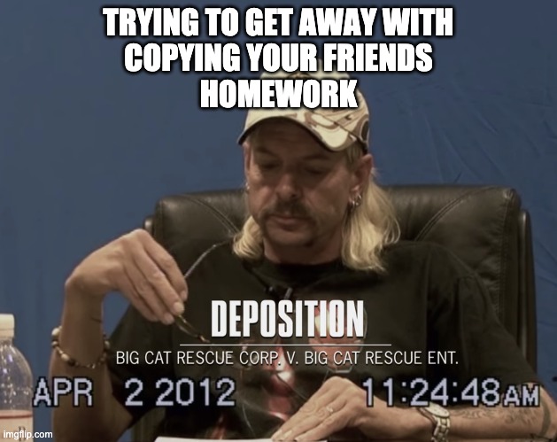 Tiger King | TRYING TO GET AWAY WITH
COPYING YOUR FRIENDS
HOMEWORK | image tagged in tiger king | made w/ Imgflip meme maker