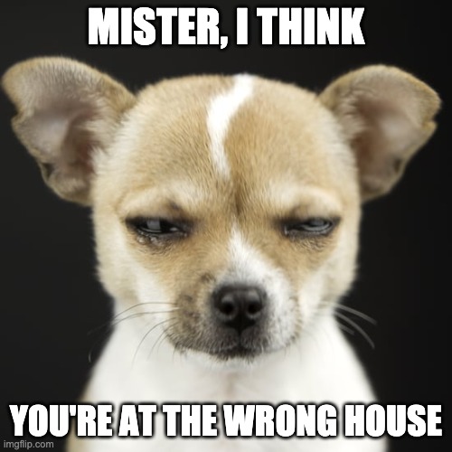 MISTER, I THINK; YOU'RE AT THE WRONG HOUSE | image tagged in memes | made w/ Imgflip meme maker