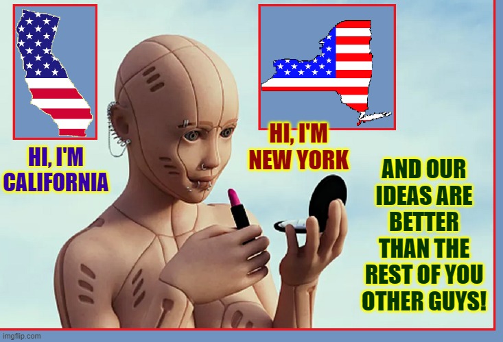 Why We Need the Electoral College! | HI, I'M NEW YORK; AND OUR IDEAS ARE BETTER THAN THE REST OF YOU OTHER GUYS! HI, I'M CALIFORNIA | image tagged in vince vance,electoral college,new york,california,bill of rights,gun control | made w/ Imgflip meme maker