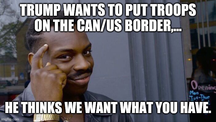 Roll Safe Think About It Meme | TRUMP WANTS TO PUT TROOPS ON THE CAN/US BORDER,... HE THINKS WE WANT WHAT YOU HAVE. | image tagged in memes,roll safe think about it | made w/ Imgflip meme maker