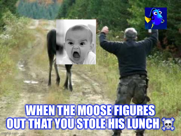 Moose Attack | WHEN THE MOOSE FIGURES OUT THAT YOU STOLE HIS LUNCH ☠️ | image tagged in moose attack | made w/ Imgflip meme maker