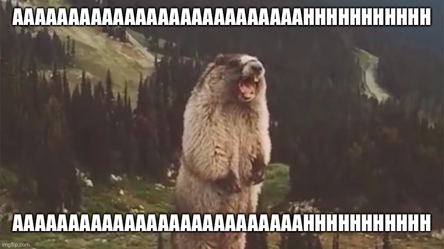 Screaming Marmot | AAAAAAAAAAAAAAAAAAAAAAAAAAHHHHHHHHHHH; AAAAAAAAAAAAAAAAAAAAAAAAAAHHHHHHHHHHH | image tagged in screaming marmot | made w/ Imgflip meme maker