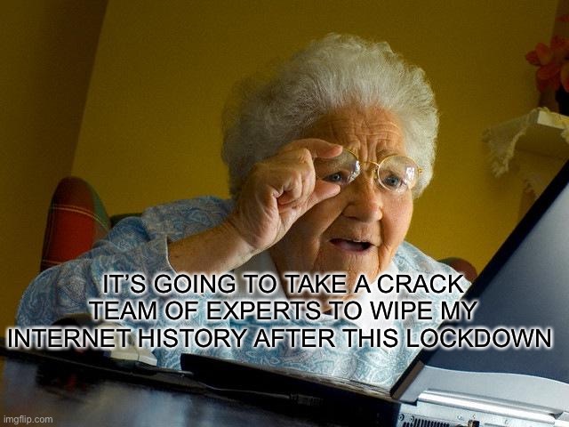 Grandma Finds The Internet Meme | IT’S GOING TO TAKE A CRACK TEAM OF EXPERTS TO WIPE MY INTERNET HISTORY AFTER THIS LOCKDOWN | image tagged in memes,grandma finds the internet | made w/ Imgflip meme maker