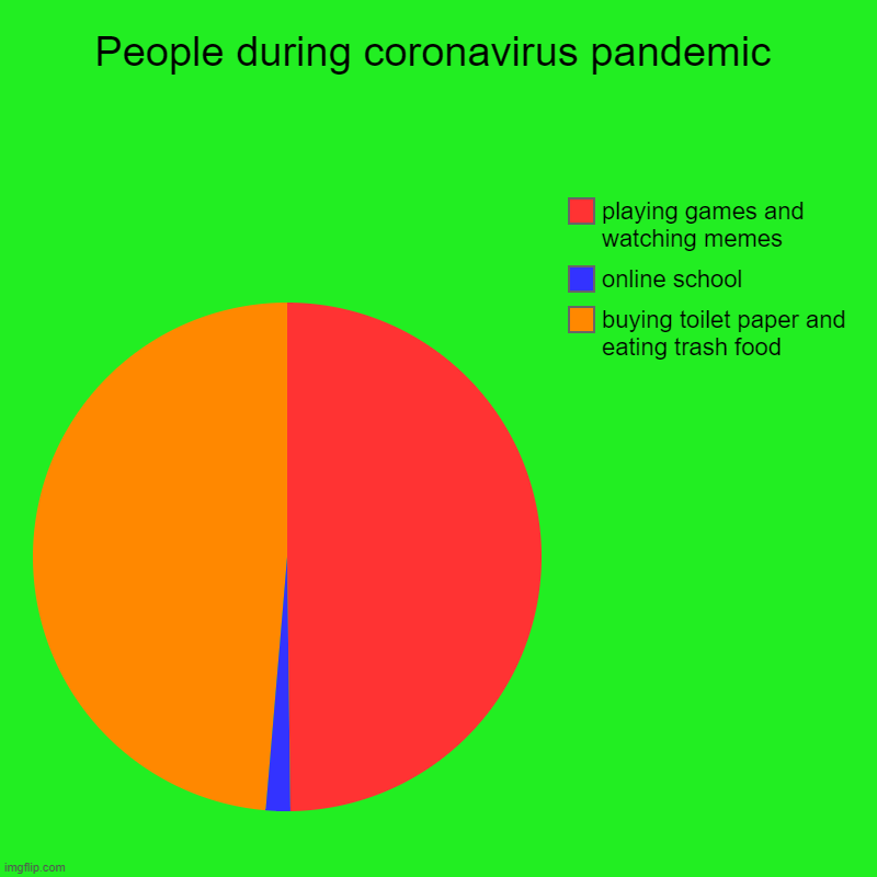 People during coronavirus pandemic | buying toilet paper and eating trash food, online school, playing games and watching memes | image tagged in charts,pie charts,coronavirus,fun | made w/ Imgflip chart maker