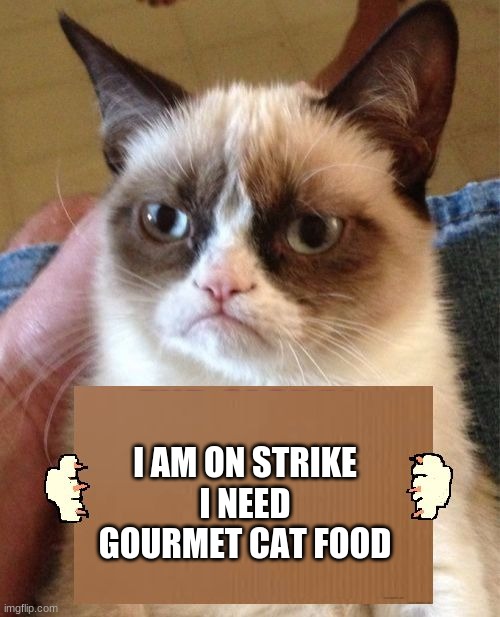 Grumpy Cat Cardboard Sign | I AM ON STRIKE
I NEED GOURMET CAT FOOD | image tagged in grumpy cat cardboard sign | made w/ Imgflip meme maker
