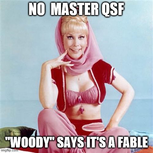 Dream Jeannie | NO  MASTER QSF; "WOODY" SAYS IT'S A FABLE | image tagged in dream jeannie | made w/ Imgflip meme maker