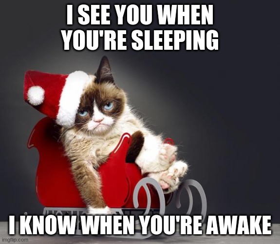 Grumpy Cat Christmas HD | I SEE YOU WHEN YOU'RE SLEEPING; I KNOW WHEN YOU'RE AWAKE | image tagged in grumpy cat christmas hd | made w/ Imgflip meme maker