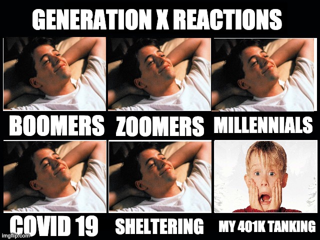What my friends think I do | GENERATION X REACTIONS; BOOMERS; MILLENNIALS; ZOOMERS; COVID 19; MY 401K TANKING; SHELTERING | image tagged in what my friends think i do | made w/ Imgflip meme maker