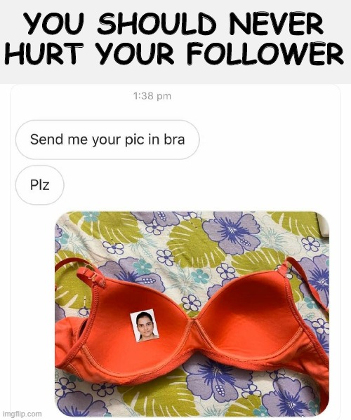 YOU SHOULD NEVER HURT YOUR FOLLOWER | image tagged in funny meme | made w/ Imgflip meme maker