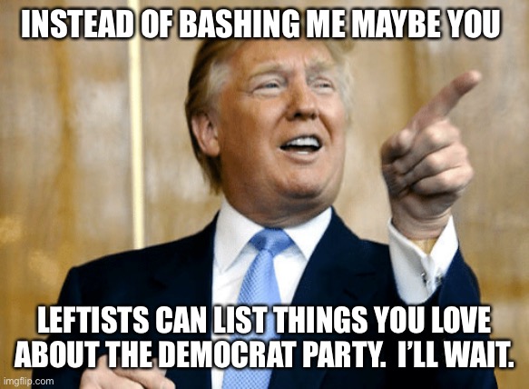 He works tirelessly for this country.  It gets old seeing the media/dems root against him on everything. | INSTEAD OF BASHING ME MAYBE YOU; LEFTISTS CAN LIST THINGS YOU LOVE ABOUT THE DEMOCRAT PARTY.  I’LL WAIT. | image tagged in donald trump | made w/ Imgflip meme maker