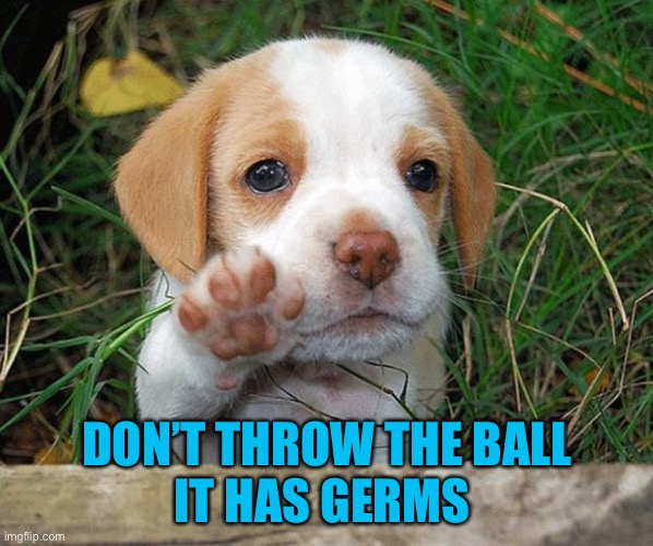 DON’T THROW THE BALL
IT HAS GERMS | made w/ Imgflip meme maker