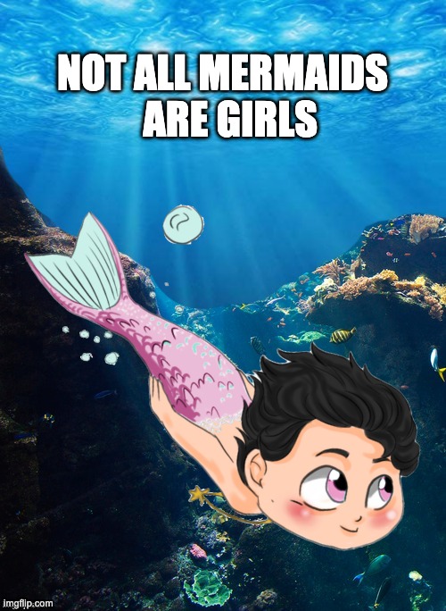 not all mermaids are girls | NOT ALL MERMAIDS   ARE GIRLS | image tagged in mermaid,merman,not all | made w/ Imgflip meme maker