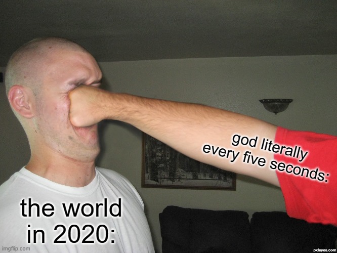 Face punch | god literally every five seconds:; the world in 2020: | image tagged in face punch | made w/ Imgflip meme maker