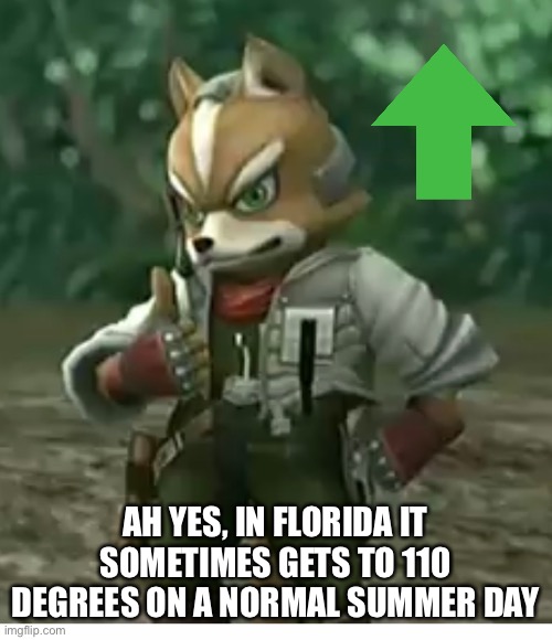 AH YES, IN FLORIDA IT SOMETIMES GETS TO 110 DEGREES ON A NORMAL SUMMER DAY | made w/ Imgflip meme maker