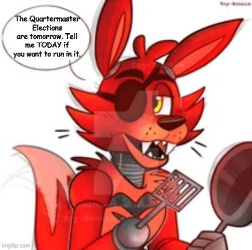 Foxy Cook | The Quartermaster Elections are tomorrow. Tell me TODAY if you want to run in it. | image tagged in foxy cook | made w/ Imgflip meme maker
