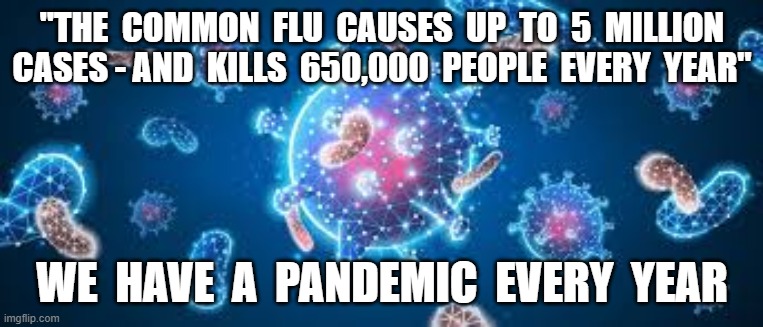 WHO Reported Stats  02/20/2020 | "THE  COMMON  FLU  CAUSES  UP  TO  5  MILLION CASES - AND  KILLS  650,000  PEOPLE  EVERY  YEAR"; WE  HAVE  A  PANDEMIC  EVERY  YEAR | image tagged in corona virus,plandemic,media panic,russia russia russia,hoax | made w/ Imgflip meme maker
