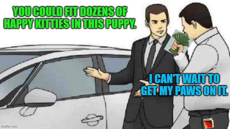 Car Salesman Slaps Roof Of Car | YOU COULD FIT DOZENS OF HAPPY KITTIES IN THIS PUPPY. I CAN'T WAIT TO GET MY PAWS ON IT. | image tagged in memes,car salesman slaps roof of car,cats,kitties,paws,puns | made w/ Imgflip meme maker