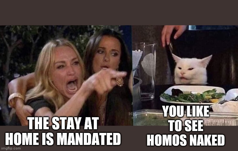 woman yelling at cat | YOU LIKE TO SEE HOMOS NAKED; THE STAY AT HOME IS MANDATED | image tagged in woman yelling at cat | made w/ Imgflip meme maker