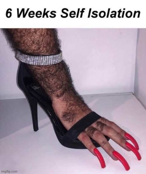 6 WEEKS SELF ISOLATION | image tagged in self isolation,6 weeks | made w/ Imgflip meme maker