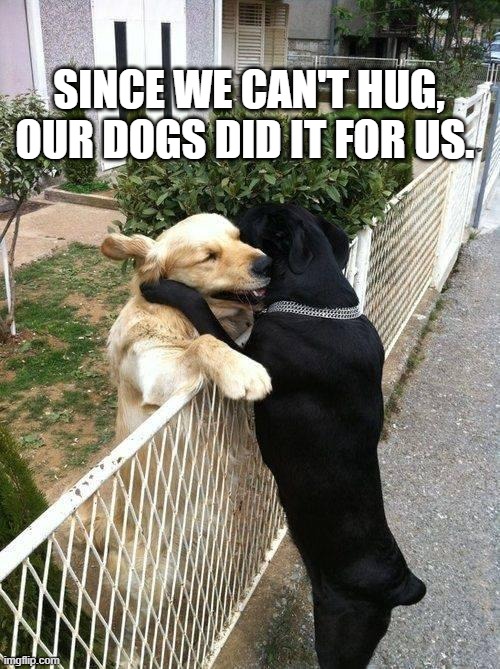 Hugs | SINCE WE CAN'T HUG, OUR DOGS DID IT FOR US. | image tagged in hugs | made w/ Imgflip meme maker