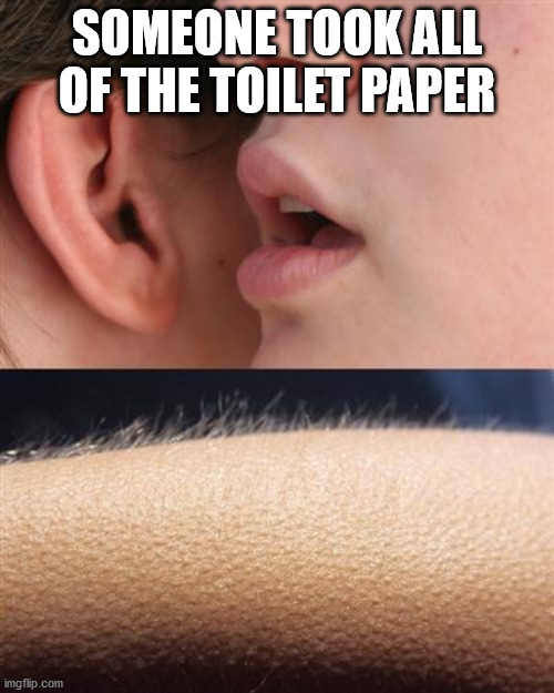 Whisper goose bumps | SOMEONE TOOK ALL OF THE TOILET PAPER | image tagged in whisper goose bumps | made w/ Imgflip meme maker