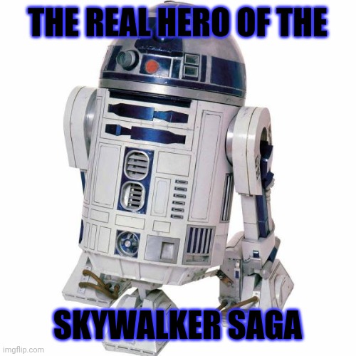 Real hero | THE REAL HERO OF THE; SKYWALKER SAGA | image tagged in star wars | made w/ Imgflip meme maker