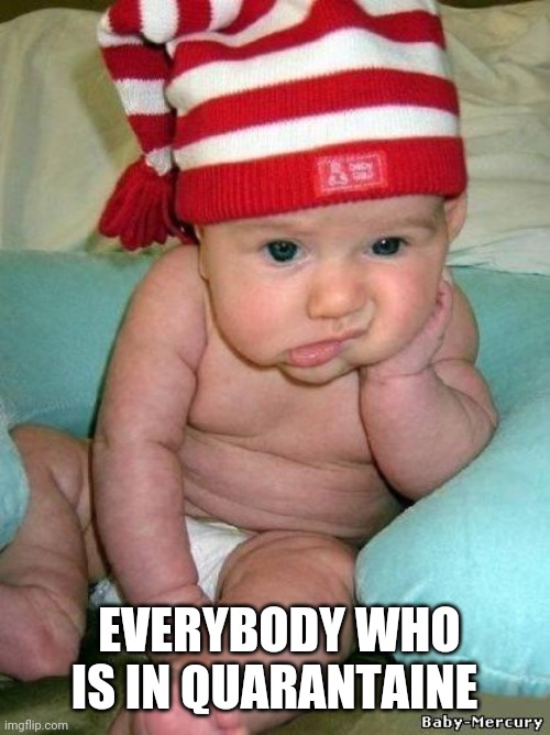 bored baby | EVERYBODY WHO IS IN QUARANTAINE | image tagged in bored baby | made w/ Imgflip meme maker