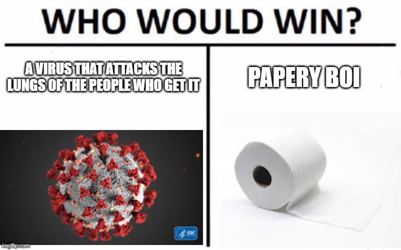 Who Would Win? | A VIRUS THAT ATTACKS THE LUNGS OF THE PEOPLE WHO GET IT; PAPERY BOI | image tagged in memes,who would win | made w/ Imgflip meme maker