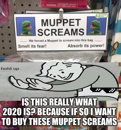 Is this seriously 2020 | IS THIS REALLY WHAT 2020 IS? BECAUSE IF SO I WANT TO BUY THESE MUPPET SCREAMS | image tagged in hold up,muppet | made w/ Imgflip meme maker