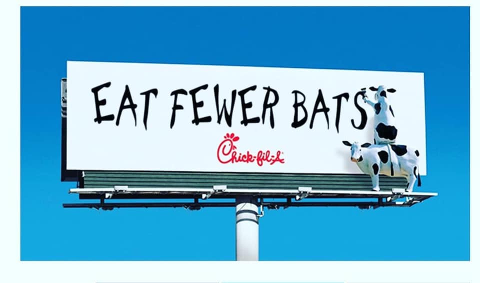 High Quality Eat Fewer Bats Blank Meme Template