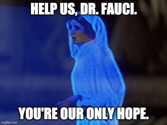help me obi wan | HELP US, DR. FAUCI. YOU'RE OUR ONLY HOPE. | image tagged in help me obi wan | made w/ Imgflip meme maker