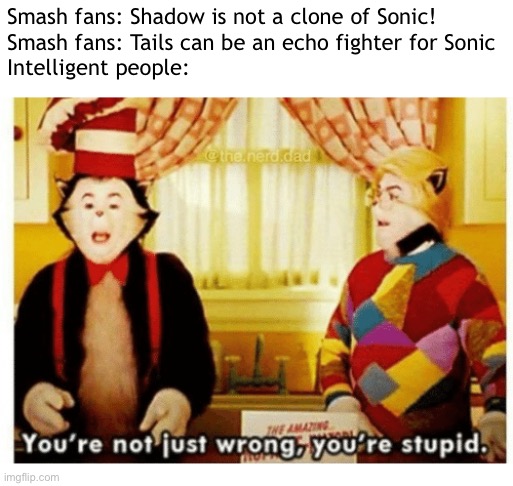 I am disappointed in this community sometimes |  Smash fans: Shadow is not a clone of Sonic!
Smash fans: Tails can be an echo fighter for Sonic
Intelligent people: | image tagged in you're not just wrong your stupid,super smash bros | made w/ Imgflip meme maker