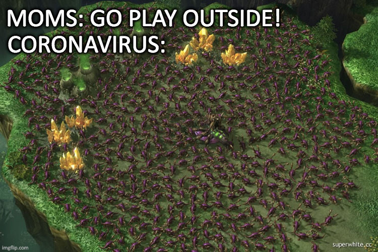 Ling Swarm | MOMS: GO PLAY OUTSIDE!                
CORONAVIRUS: | image tagged in ling swarm | made w/ Imgflip meme maker