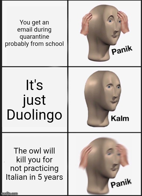Panik Kalm Panik | You get an email during quarantine probably from school; It's just Duolingo; The owl will kill you for not practicing Italian in 5 years | image tagged in memes,panik kalm panik | made w/ Imgflip meme maker