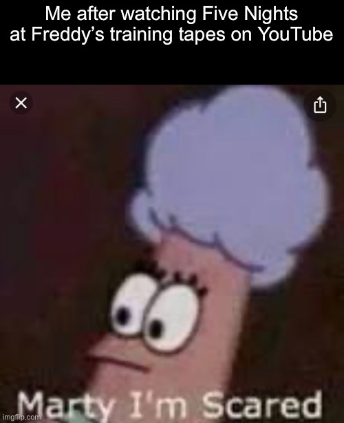 Marty I’m scared | Me after watching Five Nights at Freddy’s training tapes on YouTube | image tagged in marty im scared | made w/ Imgflip meme maker