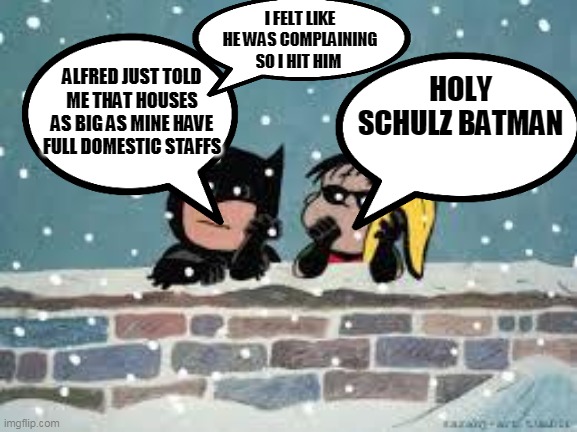 charlie brown batman | I FELT LIKE HE WAS COMPLAINING SO I HIT HIM; ALFRED JUST TOLD ME THAT HOUSES AS BIG AS MINE HAVE FULL DOMESTIC STAFFS; HOLY SCHULZ BATMAN | image tagged in charlie brown batman | made w/ Imgflip meme maker
