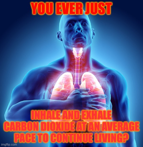 Breathing | YOU EVER JUST; INHALE AND EXHALE CARBON DIOXIDE AT AN AVERAGE PACE TO CONTINUE LIVING? | image tagged in breathing | made w/ Imgflip meme maker