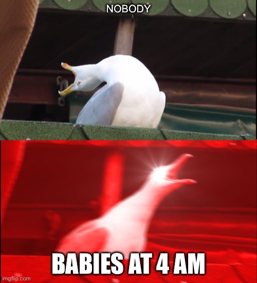 Screaming bird | NOBODY; BABIES AT 4 AM | image tagged in screaming bird | made w/ Imgflip meme maker