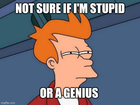 Futurama Fry | NOT SURE IF I'M STUPID; OR A GENIUS | image tagged in memes,futurama fry | made w/ Imgflip meme maker