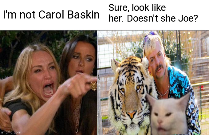 White cat teams up for Joe Exotic | Sure, look like her. Doesn't she Joe? I'm not Carol Baskin | image tagged in memes,funny memes | made w/ Imgflip meme maker