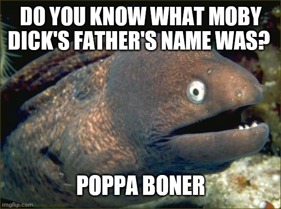 Bad Joke Eel Meme | DO YOU KNOW WHAT MOBY DICK'S FATHER'S NAME WAS? POPPA BONER | image tagged in memes,bad joke eel | made w/ Imgflip meme maker