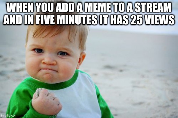 Success Kid Original | WHEN YOU ADD A MEME TO A STREAM AND IN FIVE MINUTES IT HAS 25 VIEWS | image tagged in memes,success kid original | made w/ Imgflip meme maker