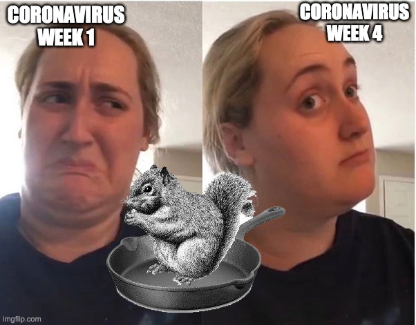 CORONAVIRUS
WEEK 4; CORONAVIRUS
WEEK 1 | image tagged in coronavirus,squirrel | made w/ Imgflip meme maker