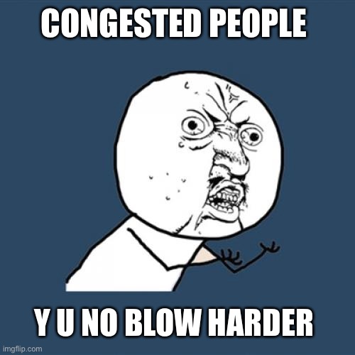 Y U No | CONGESTED PEOPLE; Y U NO BLOW HARDER | image tagged in memes,y u no | made w/ Imgflip meme maker