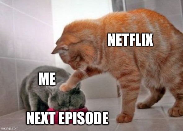 Force feed cat | NETFLIX; ME; NEXT EPISODE | image tagged in force feed cat,memes | made w/ Imgflip meme maker