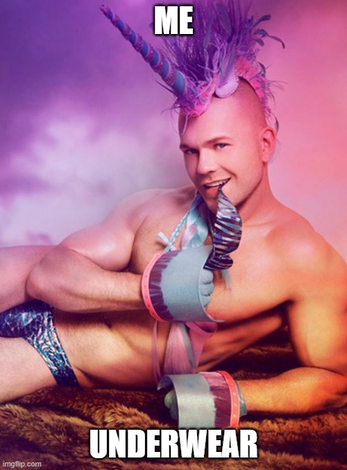 Sexy Gay Unicorn | ME; UNDERWEAR | image tagged in sexy gay unicorn | made w/ Imgflip meme maker